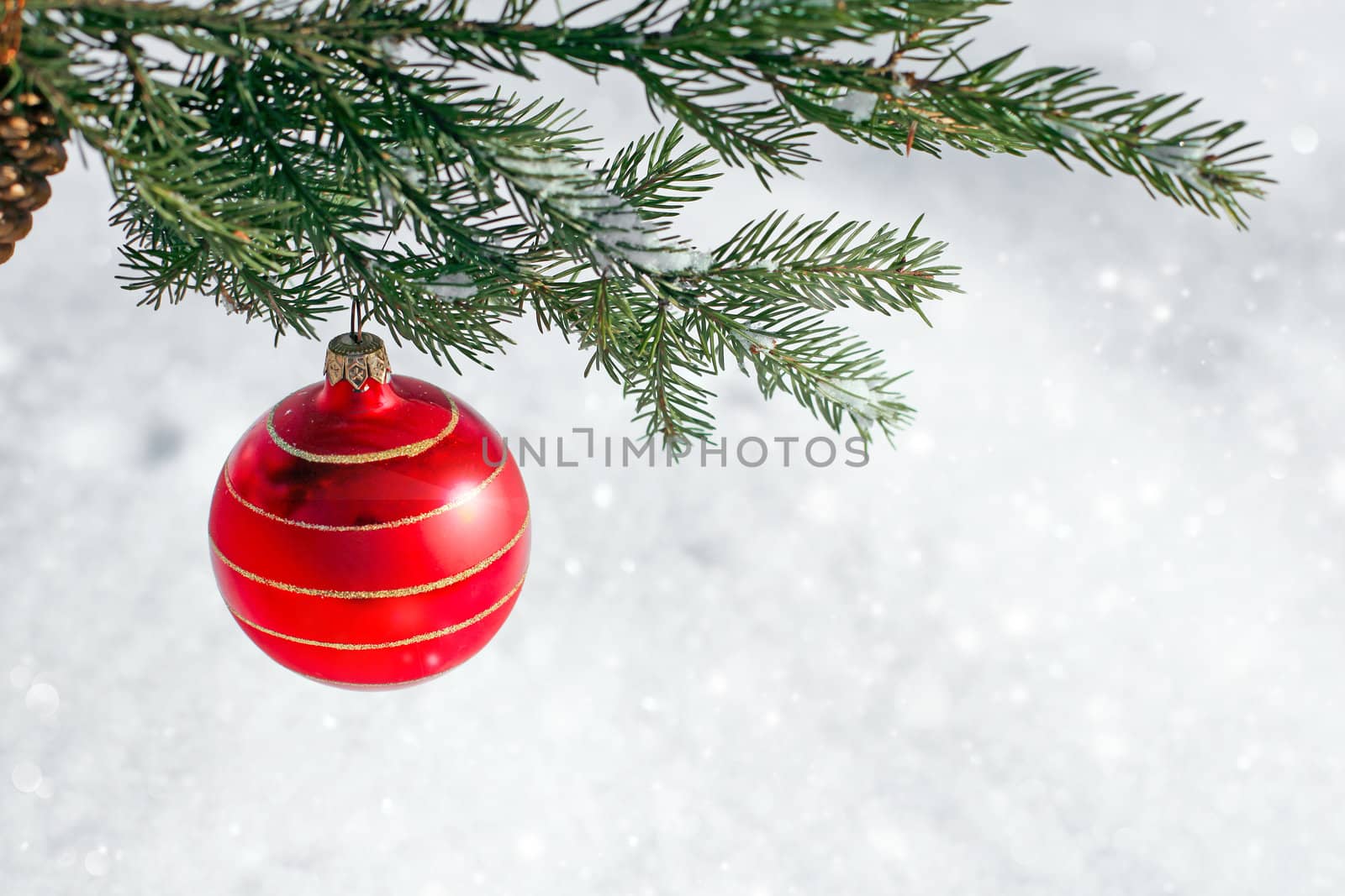 Christmas decoration red glass ball on fir branches