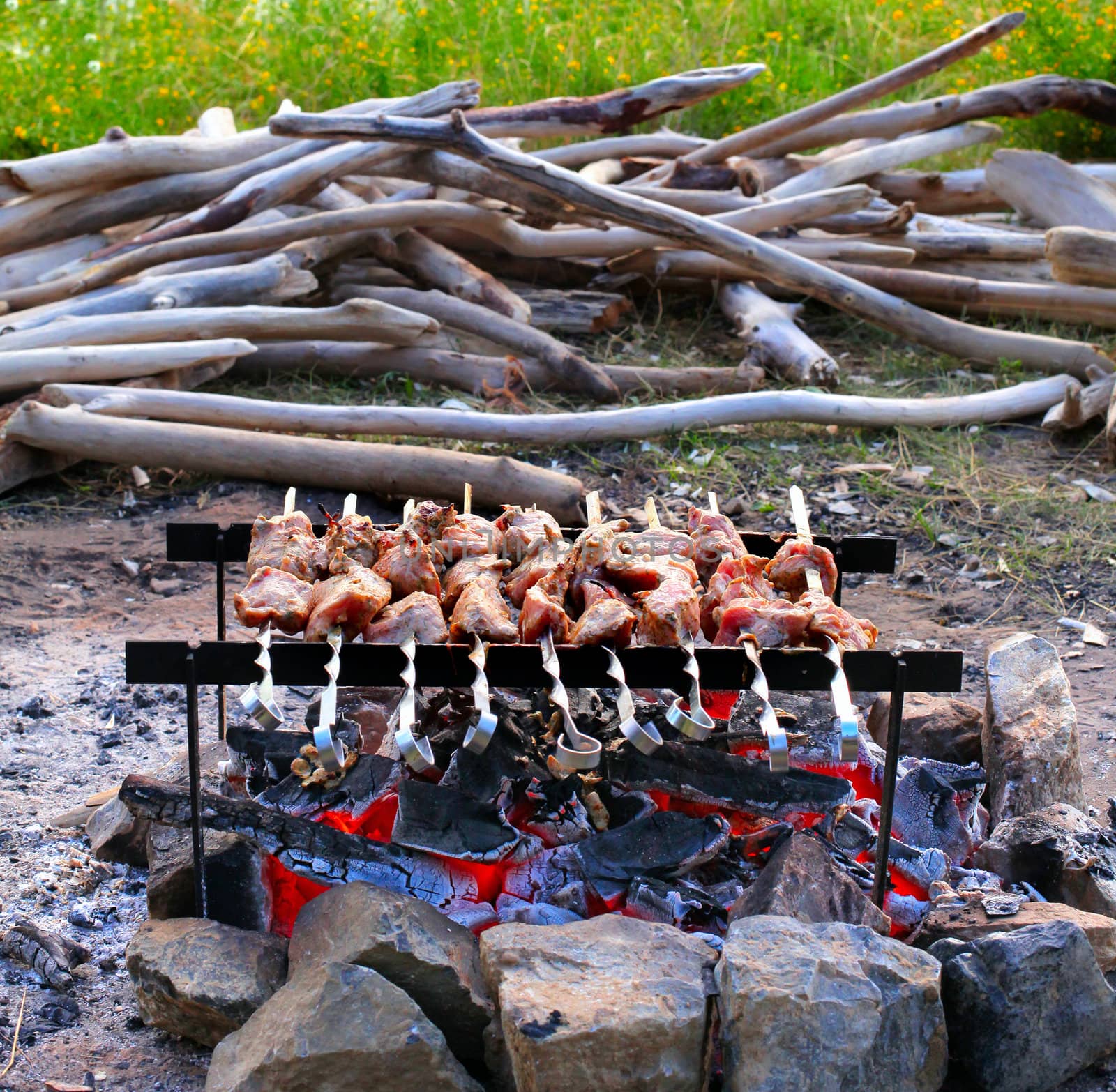 Shish kebab cooking on the Nature