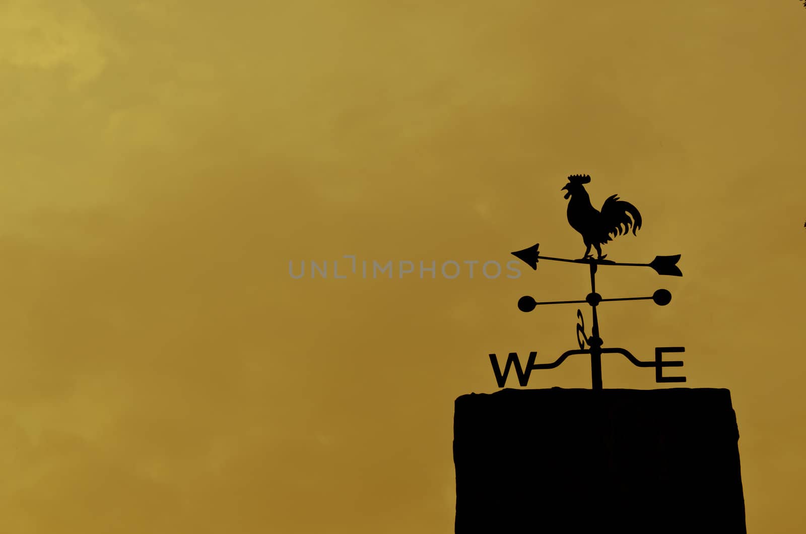 chicken style magnetic compass