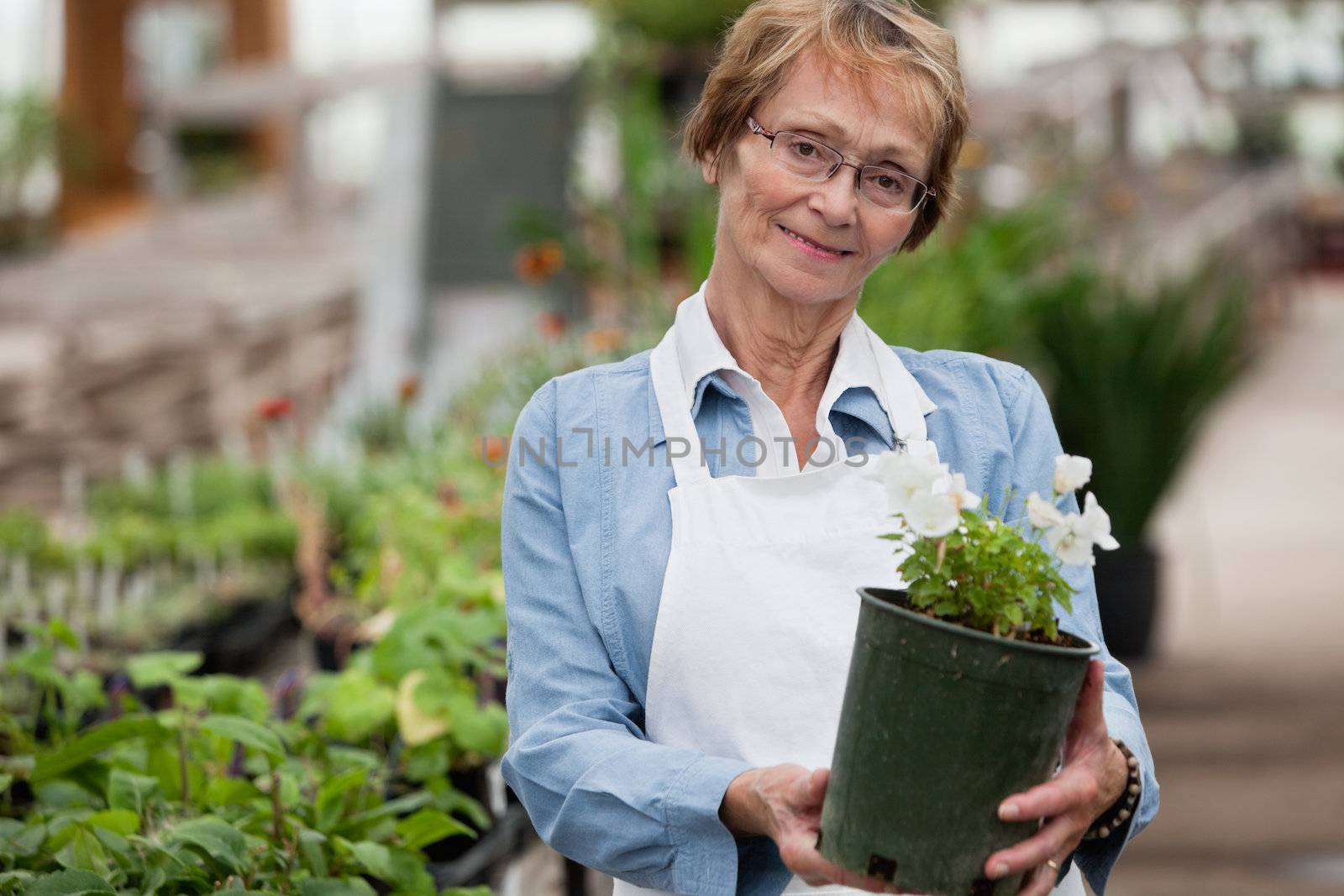 Portrait of smiling senior woman holding potted plant