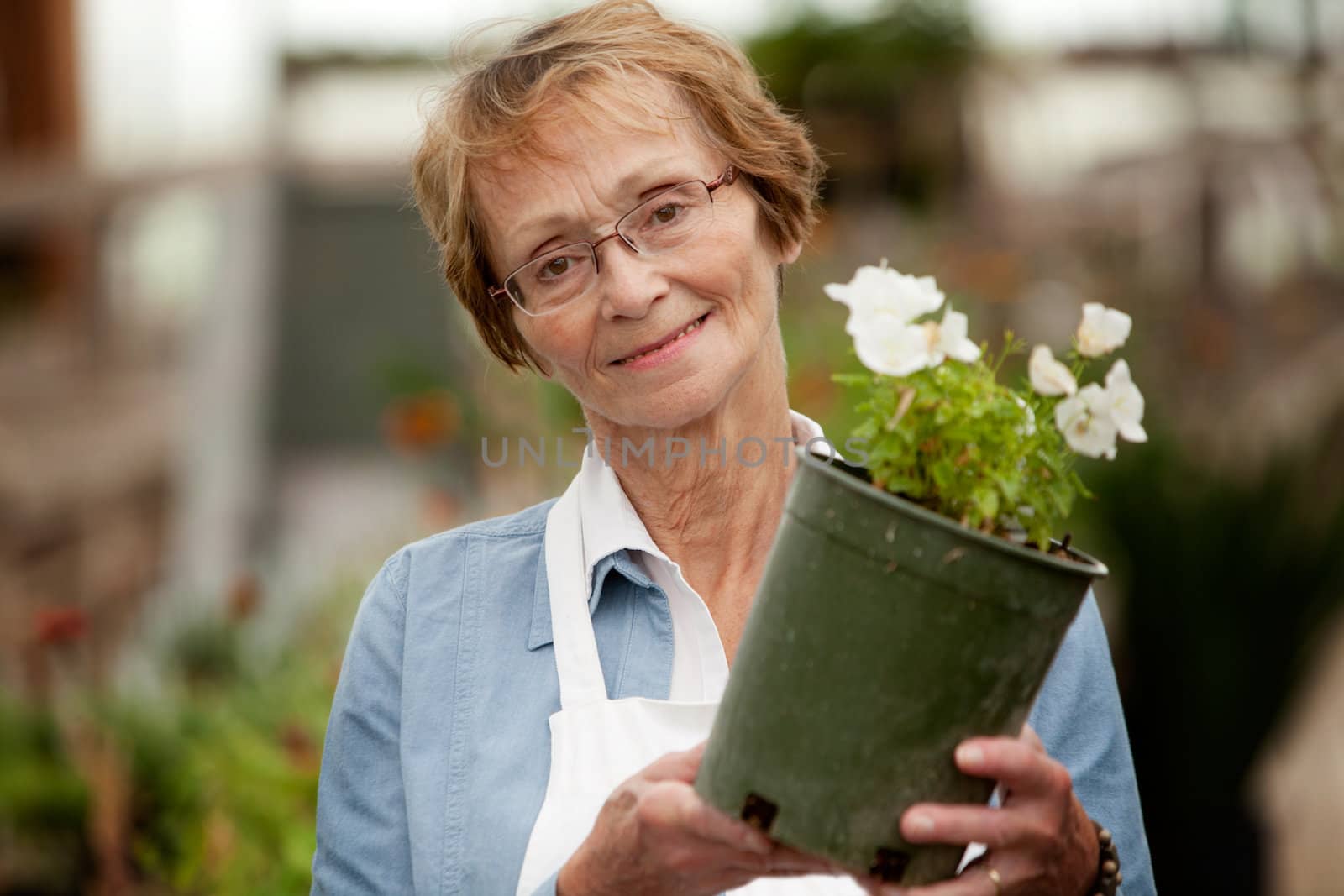 Senior Woman Holding Potted Plant by leaf