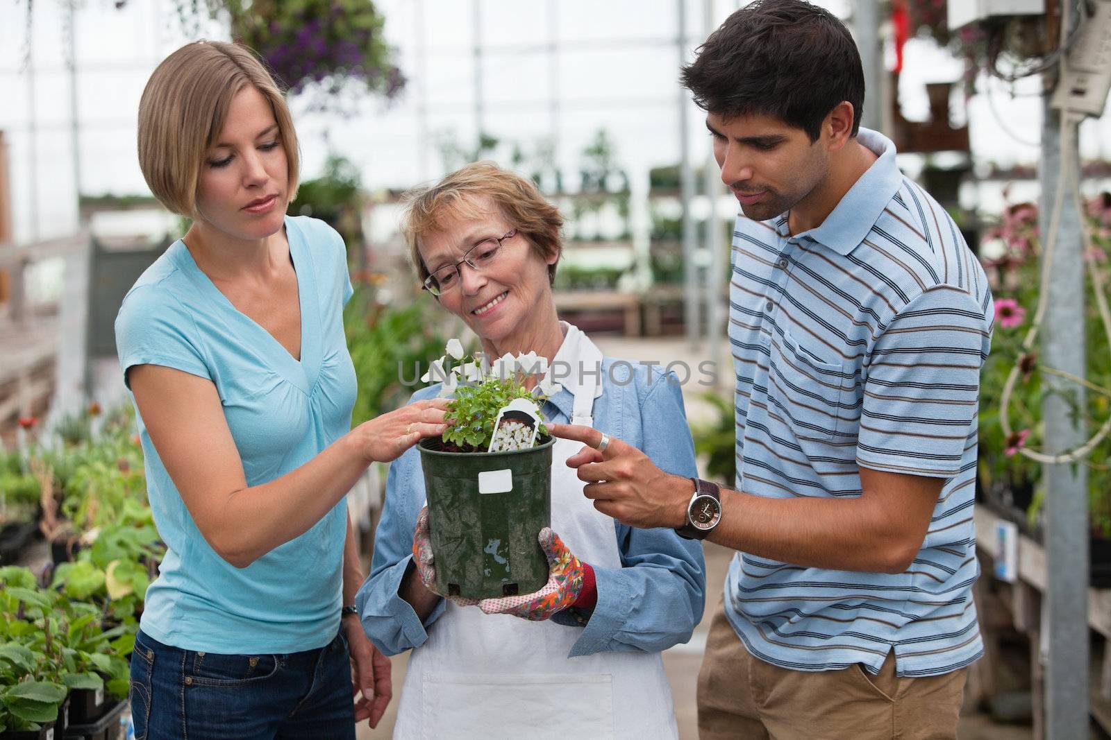 Man and woman shopping for plants