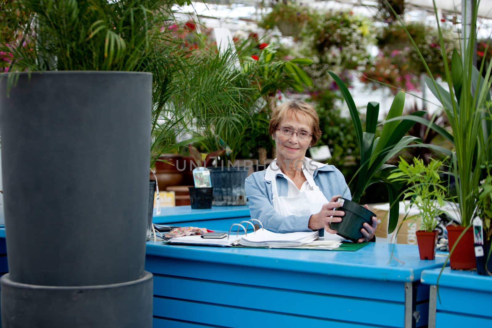 Senior Worker in Garden Center by leaf