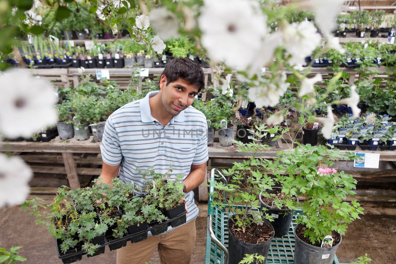 Man buying potted plants by leaf