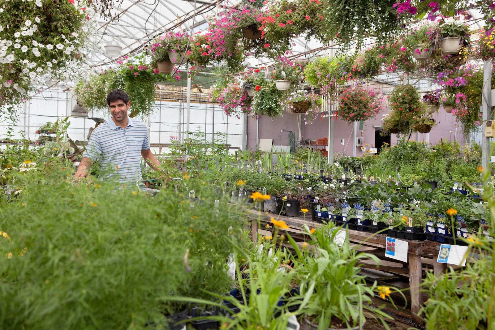 Man at garden centre by leaf