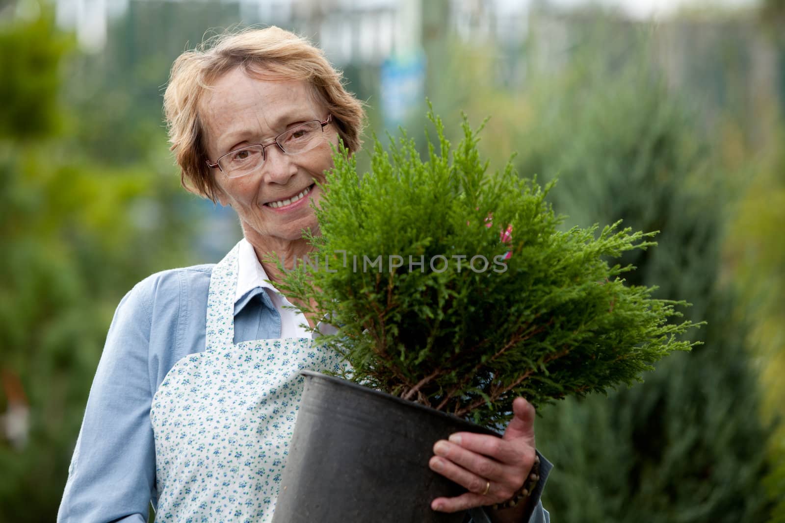 Senior Woman Employee with Shrub by leaf