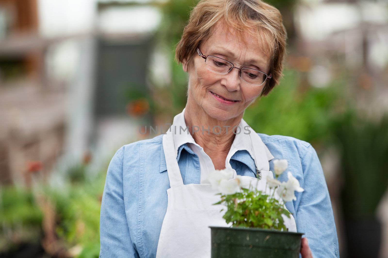 Smiling senior woman looking down at potted plant