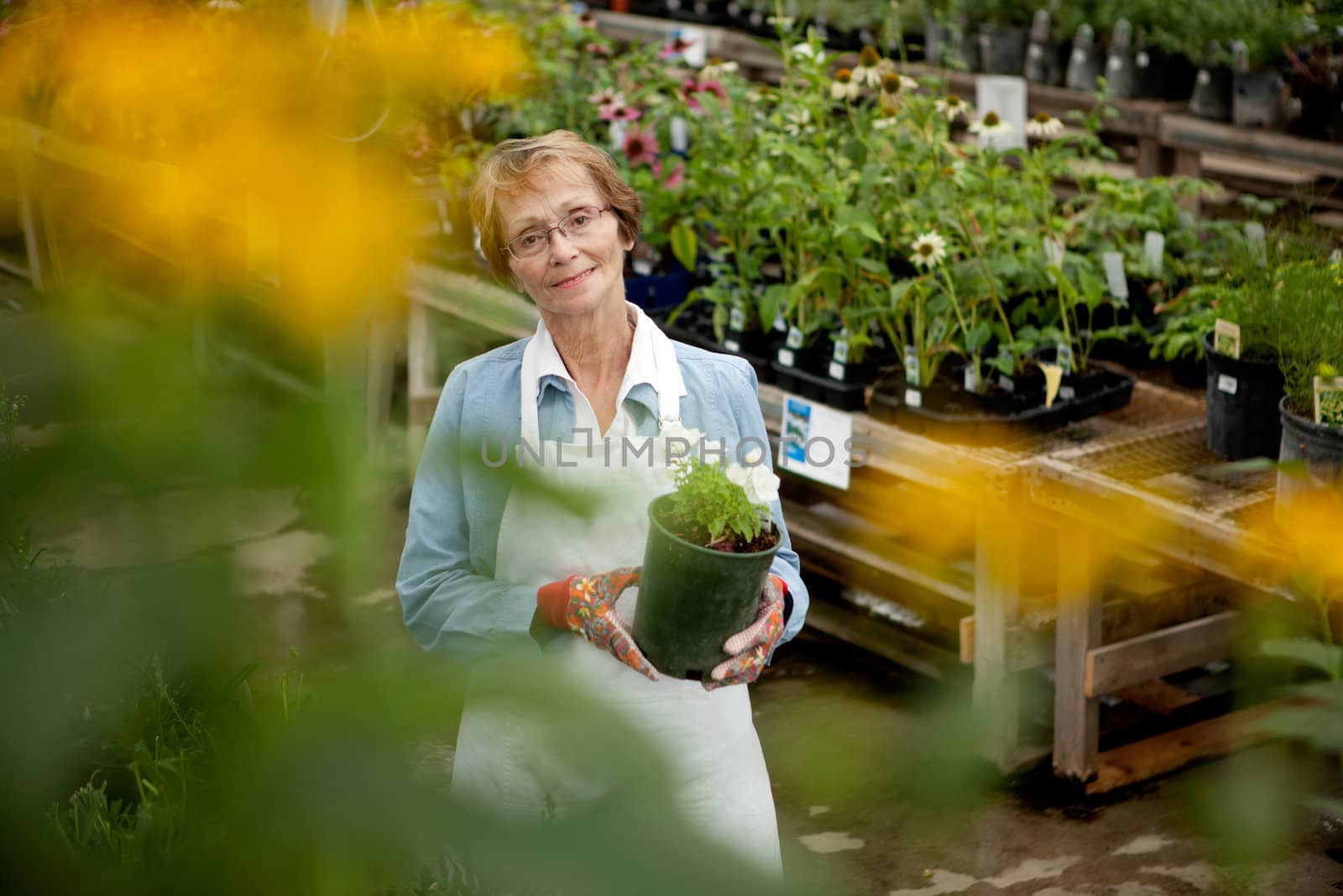 Senior Worker in Garden Center by leaf