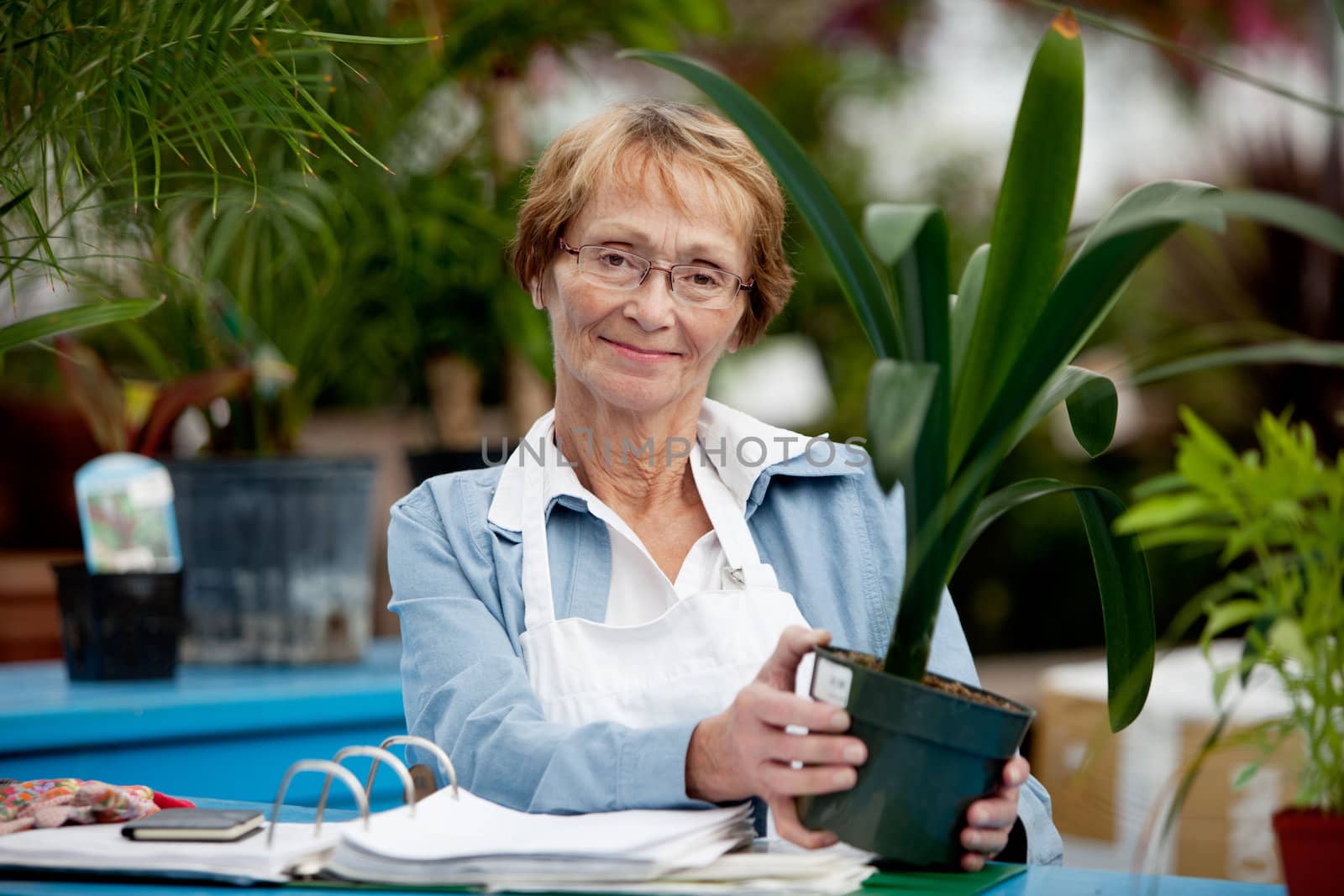 Portrait of a senior woman working in a garden center
