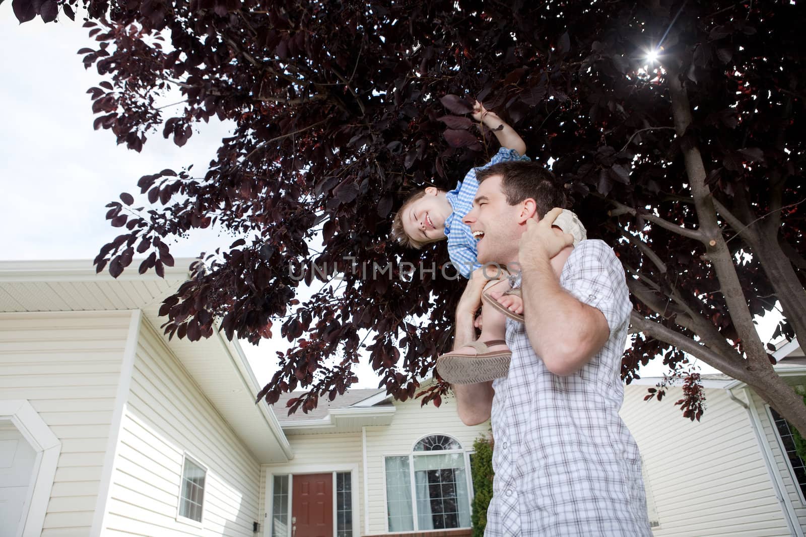 Portrait Of Cute Little Boy Sitting On Father's Shoulder.