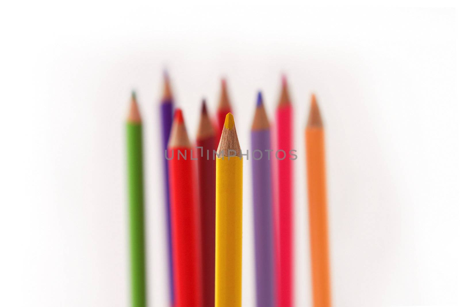 vertical color pencils on white background by cococinema