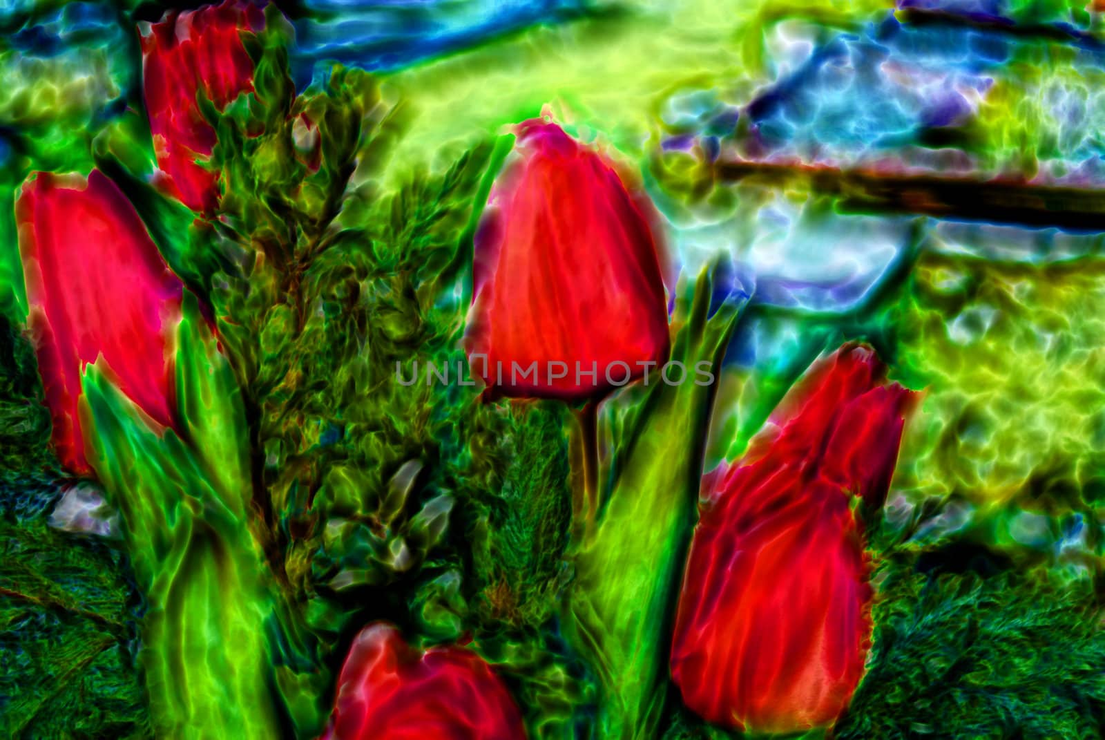 Abstract Tulips