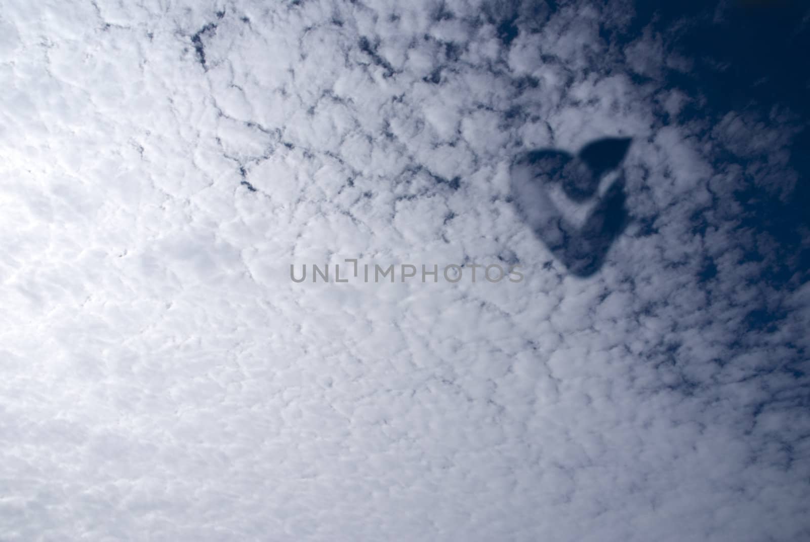 Heart in the Clouds