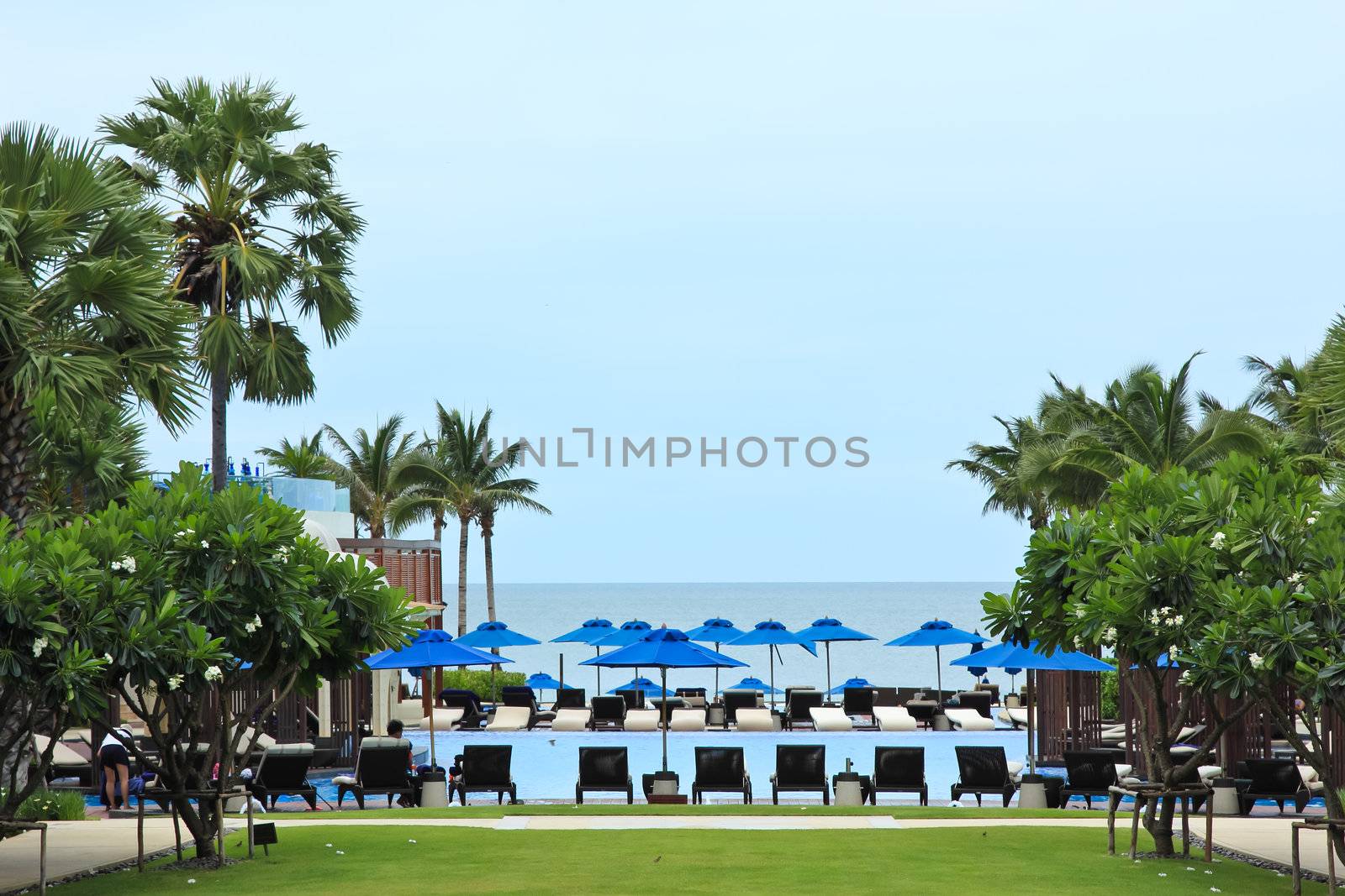 Deckchairs and swimming pool near the sea