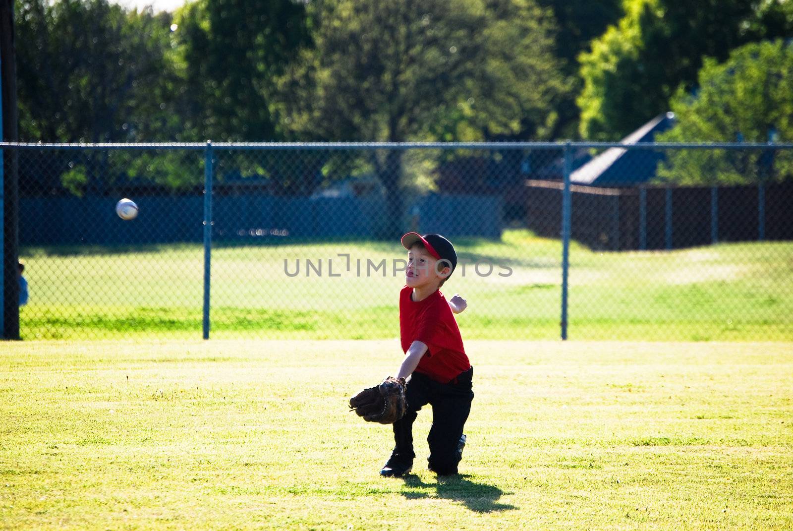 Little league baseball player diving for ball.