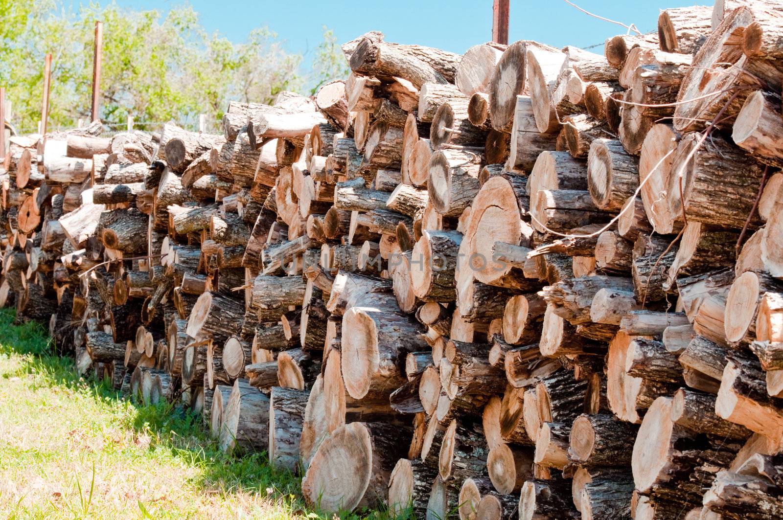 Stack of firewood on farm