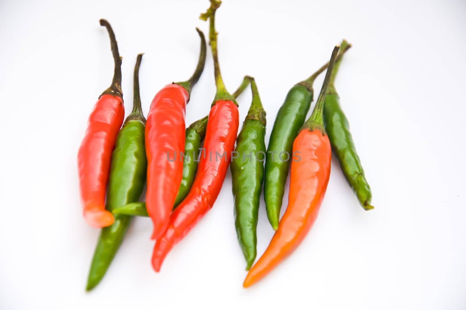 red and green chili on white background