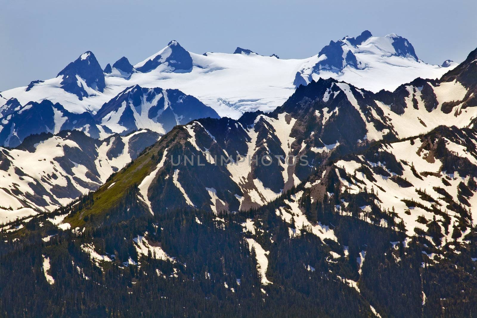 Snow Mountains Hurricane Ridge Olympic National Park Washington State Pacific Northwest Closeup Evergreen
