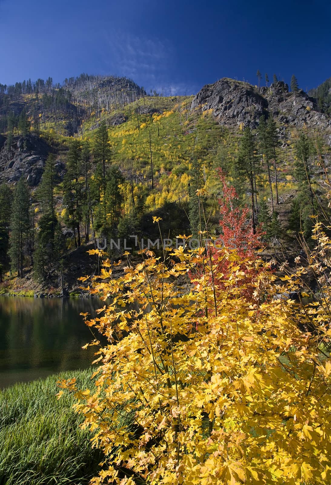 Fall Colors Yellow Mountain Lake  Leavenworth Washington by bill_perry