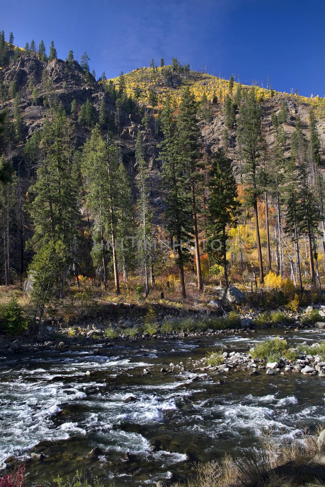 Fall Colors Wenatchee River Yellow Trees Mountain Stevens Pass L by bill_perry