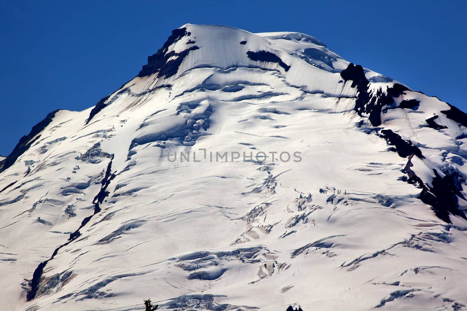 Mount BakerSnow Mountain From Artist Point Close Up White Glaciers Washington State Pacific Northwest