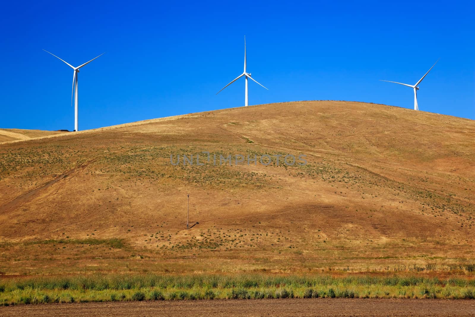 Wind Turbines Tower Over Palouse Hills Washington
