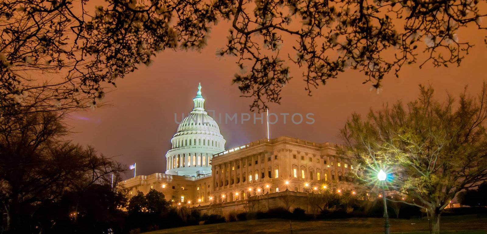 US Capitol Building in spring- Washington DC, United States