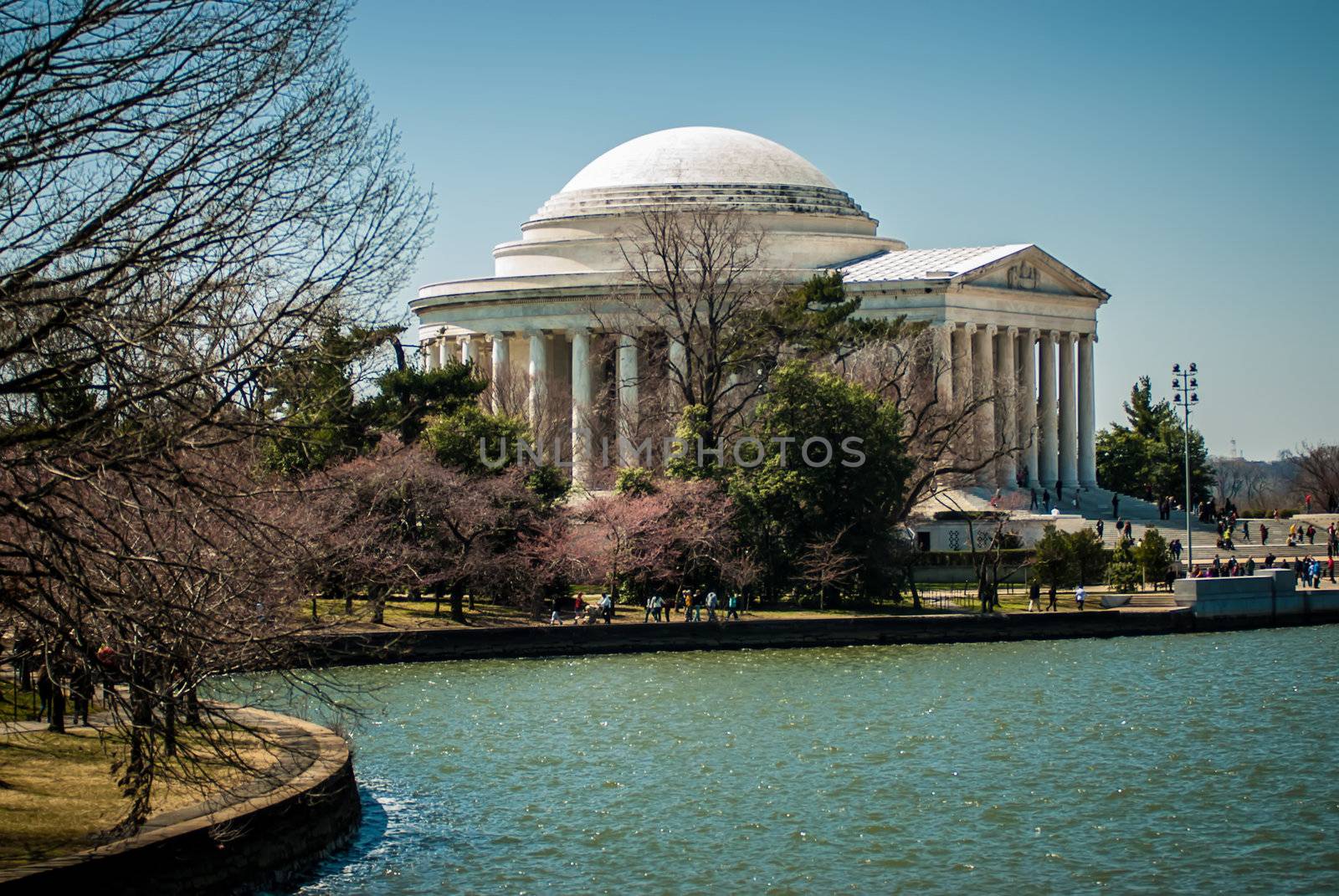 Thomas Jefferson Memorial, in Washington, DC, USA by digidreamgrafix