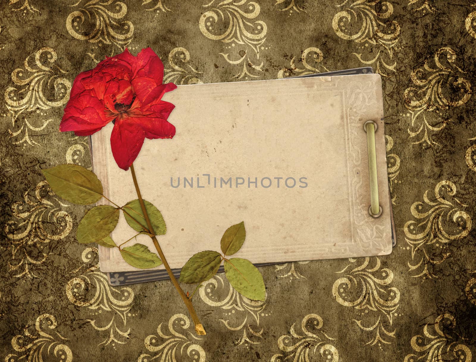 Old cards and dry rose by frenta