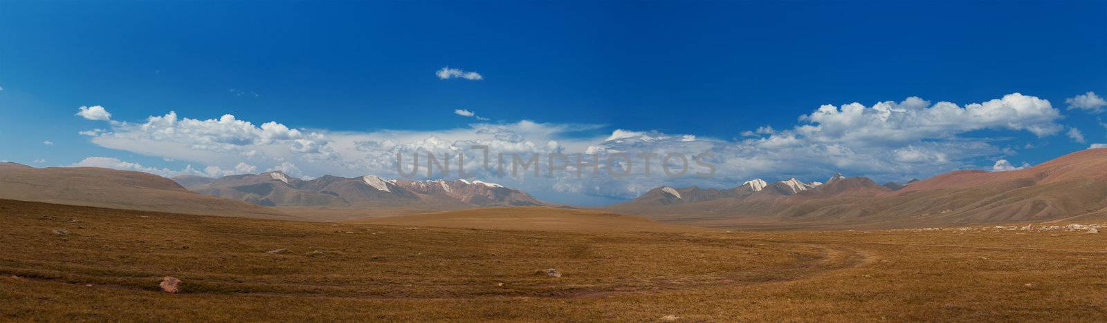 Altai mountains. Beautiful highland landscape. Mongolia