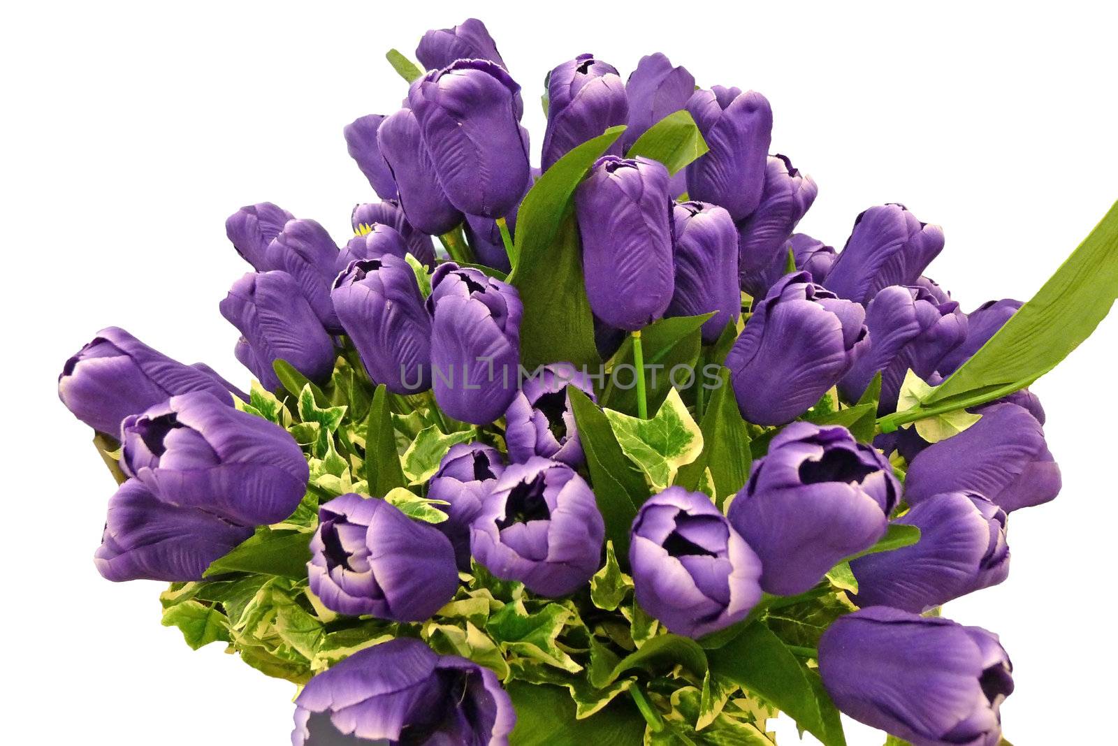 Bouquet of artificial violet tulip isolated on white background