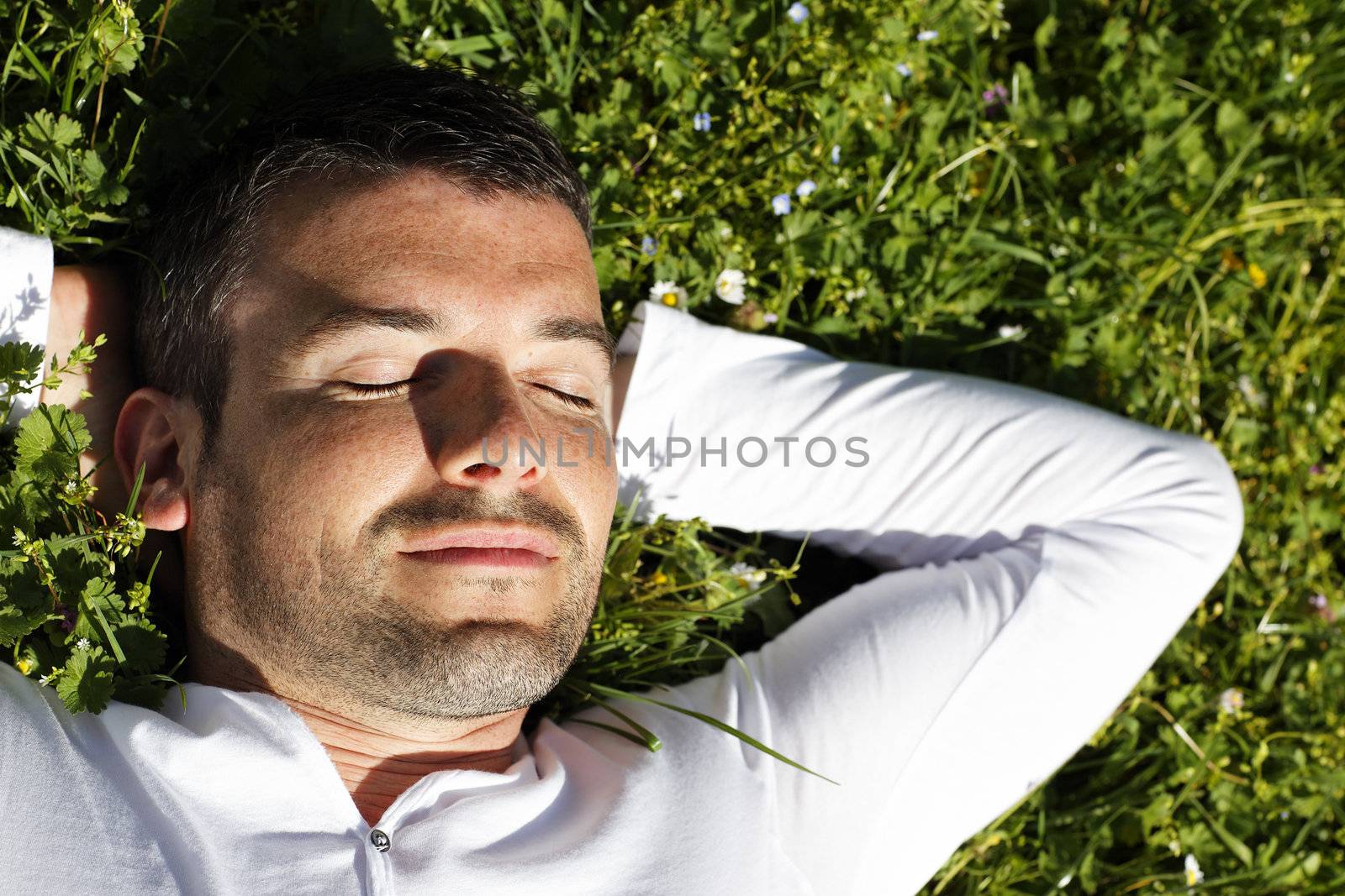 sleeping in the grass