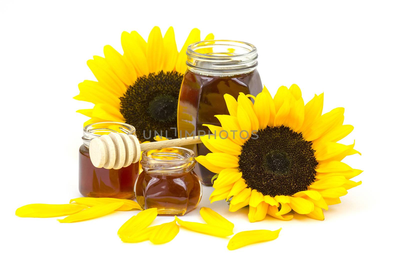honey and sunflowers on white background