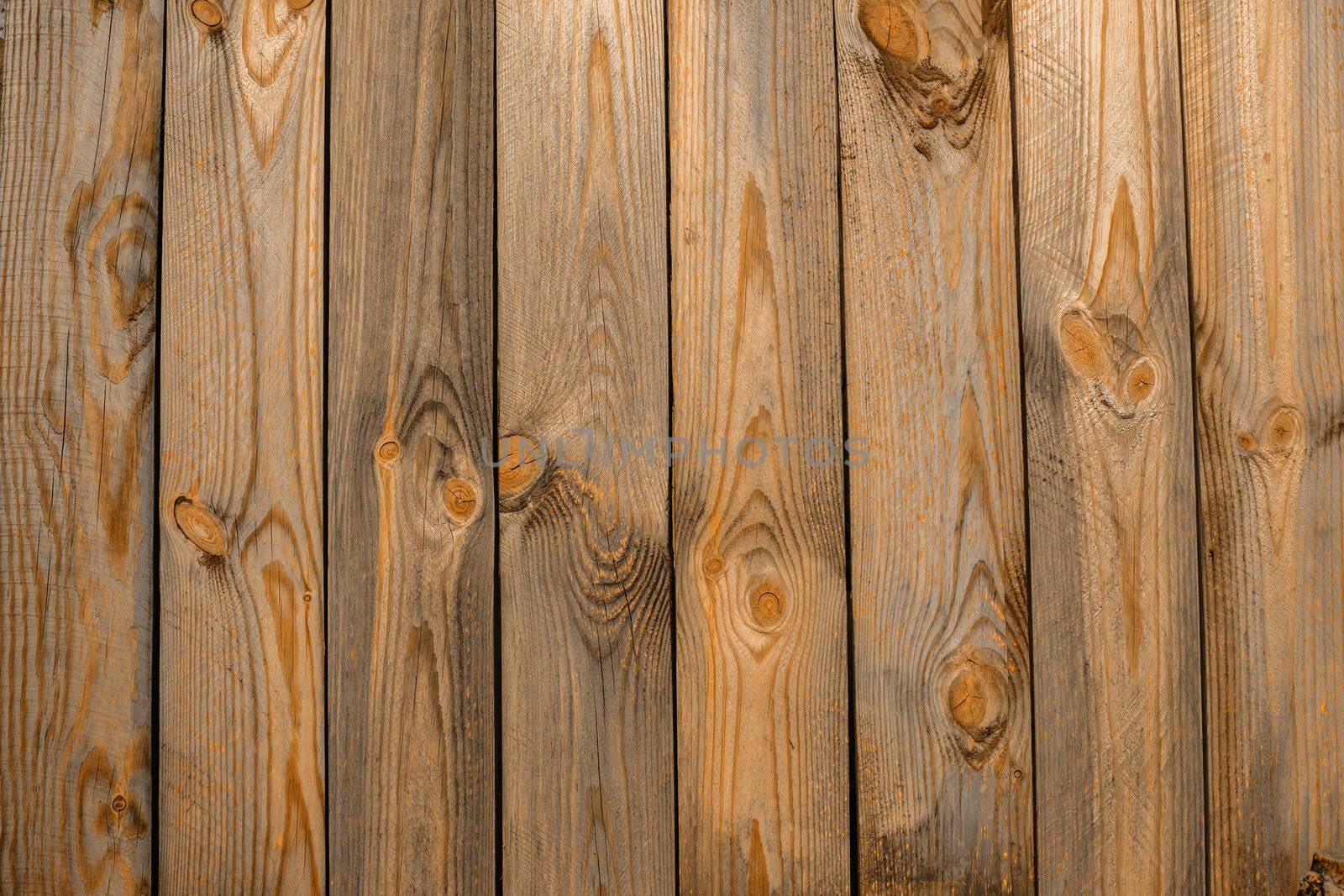 the brown wood texture with natural patterns