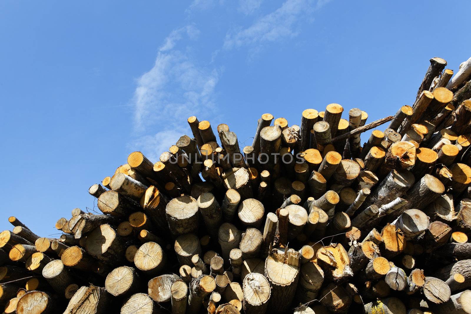 big woodpile and blue sky in spring