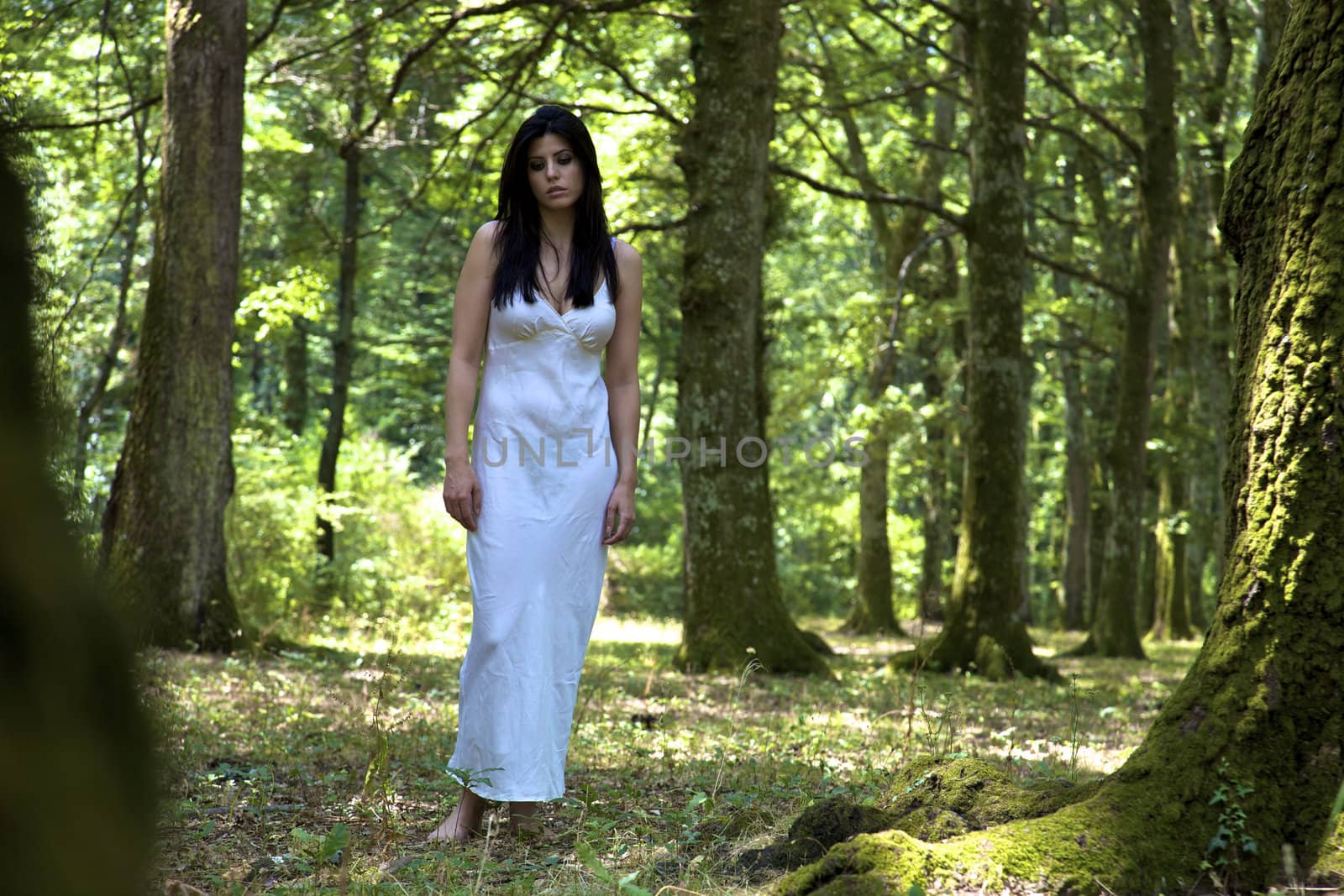 Beautiful woman in the woods posing