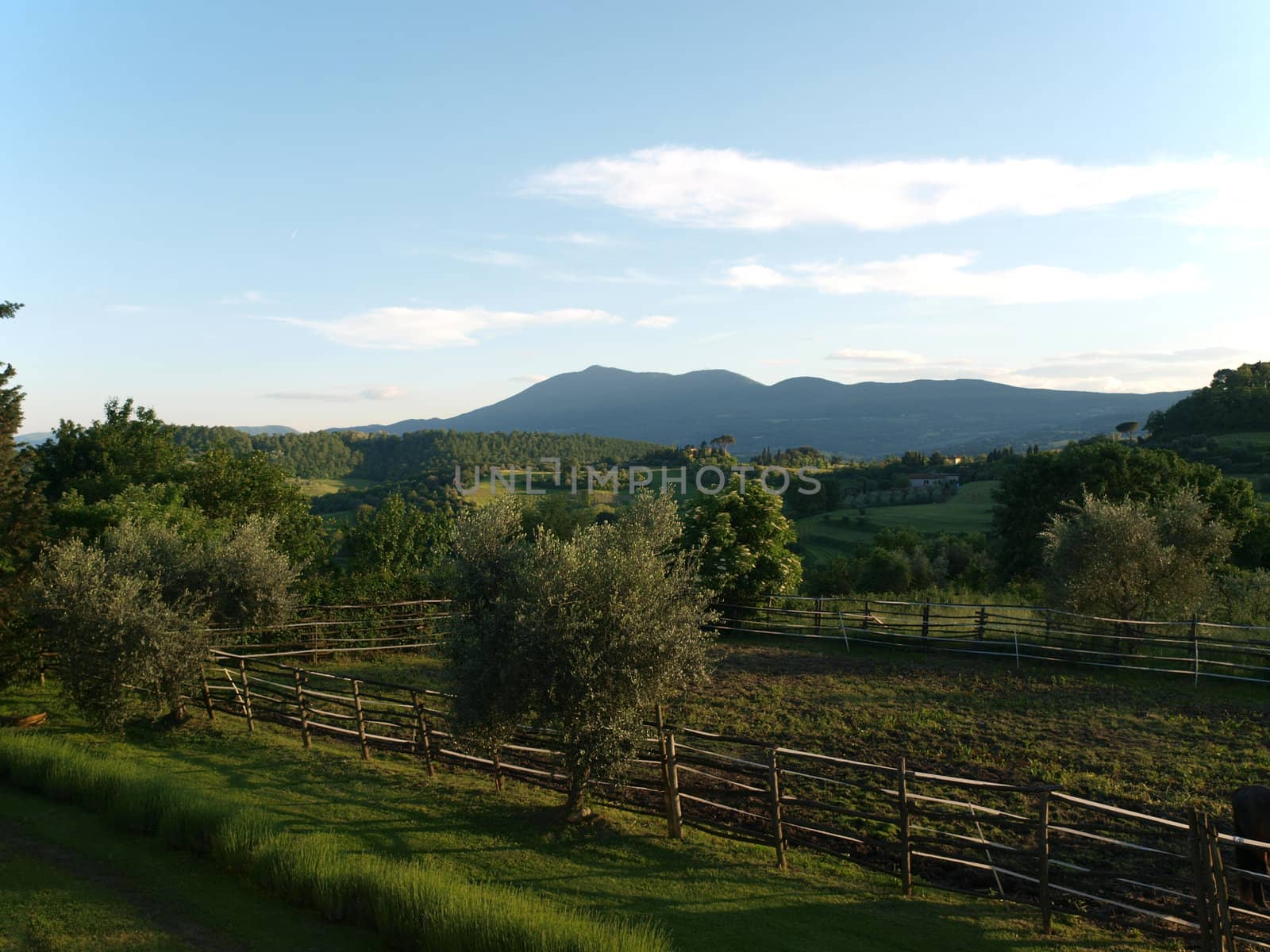 The beautiful landscape of Tuscany. View of the hills between Montepulciano and Pienza