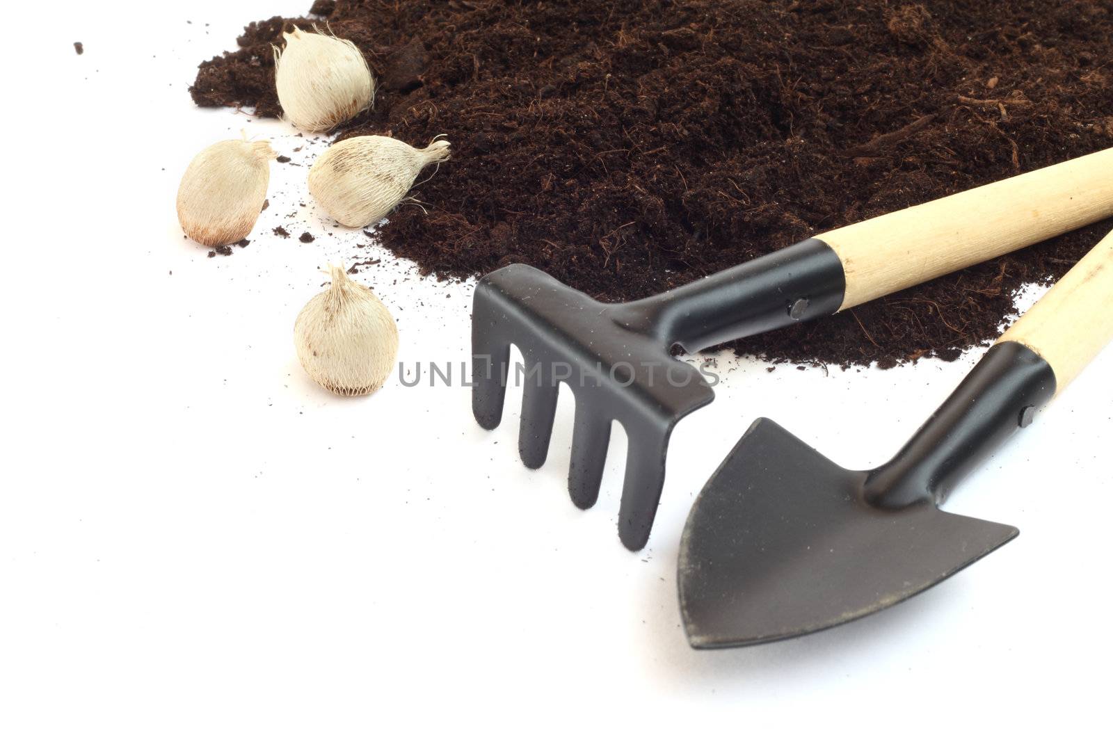 Gardening tools and flower bulbs isolated on white