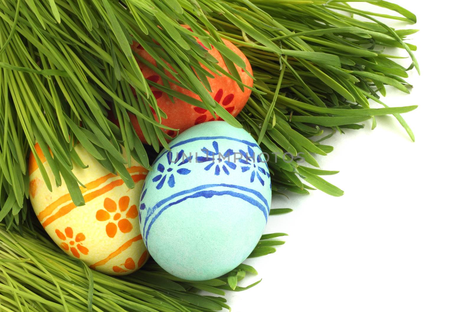 Easter eggs in green spring grass on white background