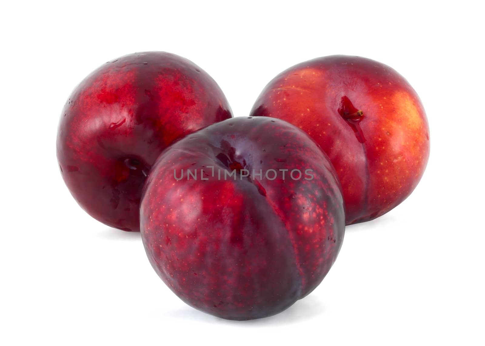 Three plums isolated on white background