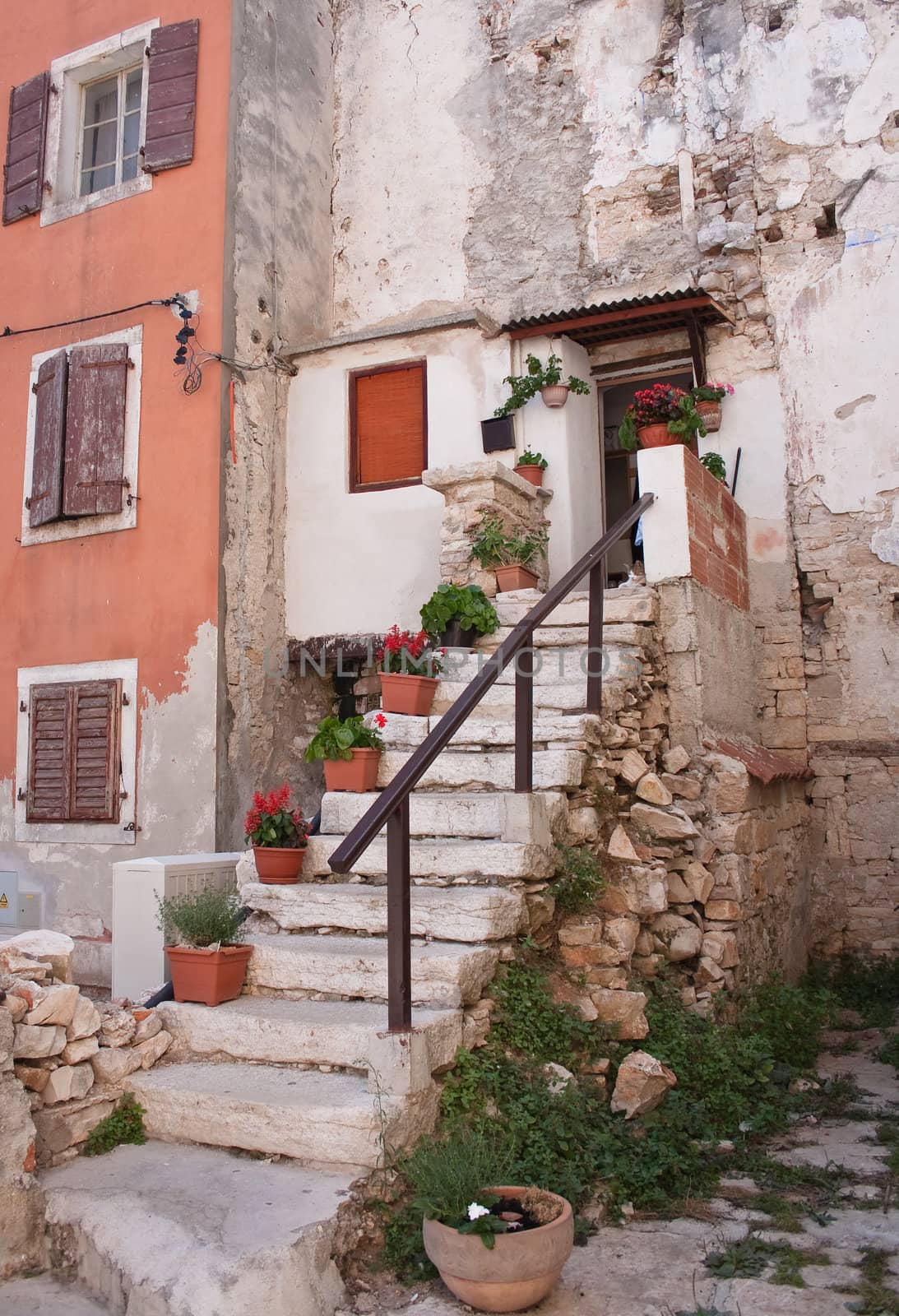 Old house in Town Fazhana. Croatia. Europe
