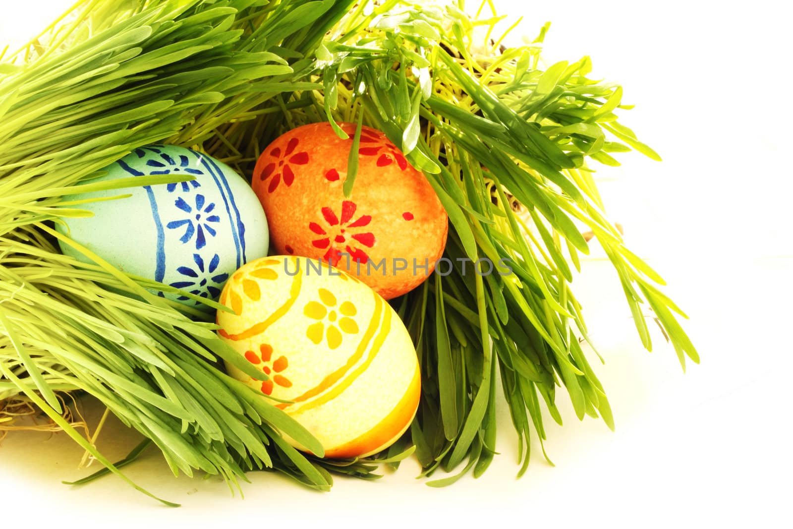Easter eggs in grass by destillat
