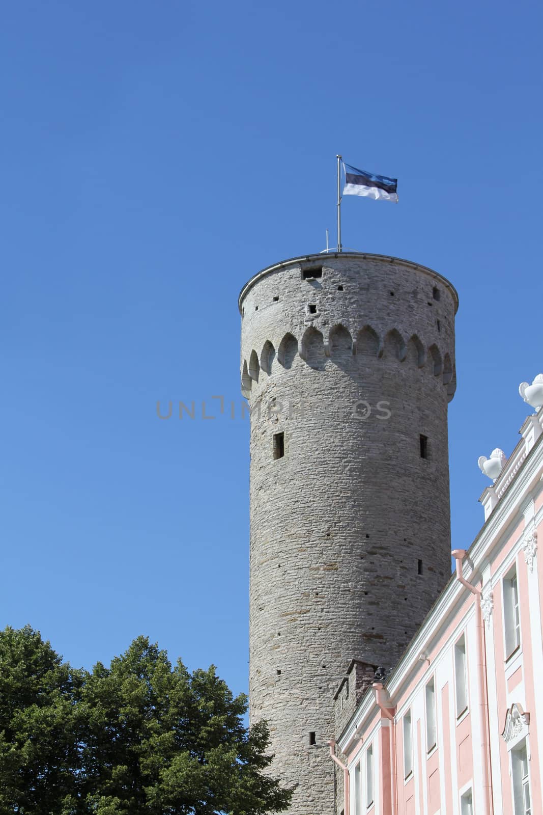 Pikk Hermann tower of old Tallinn in sunny summer day