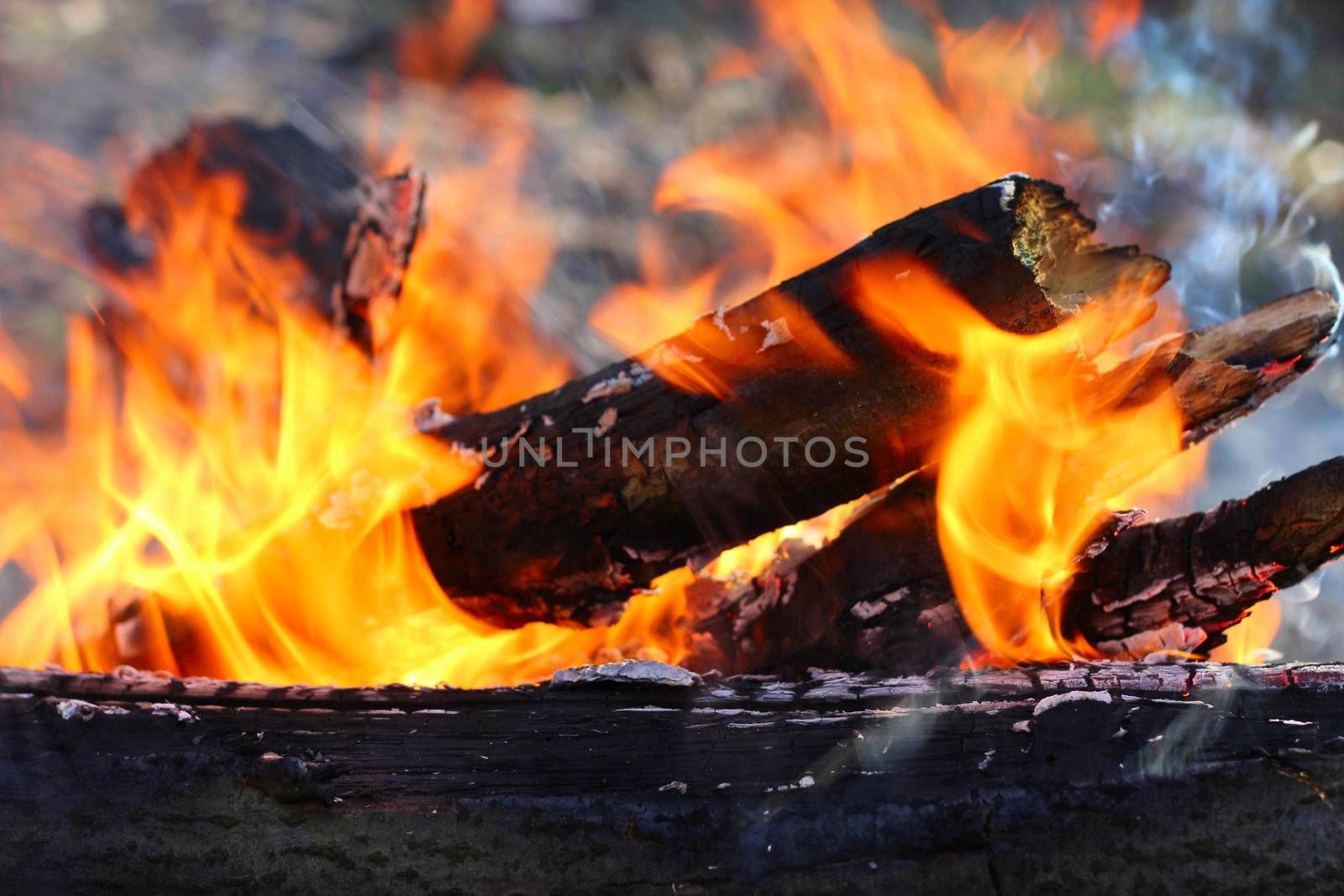 Beautiful fire on coal macro closeup