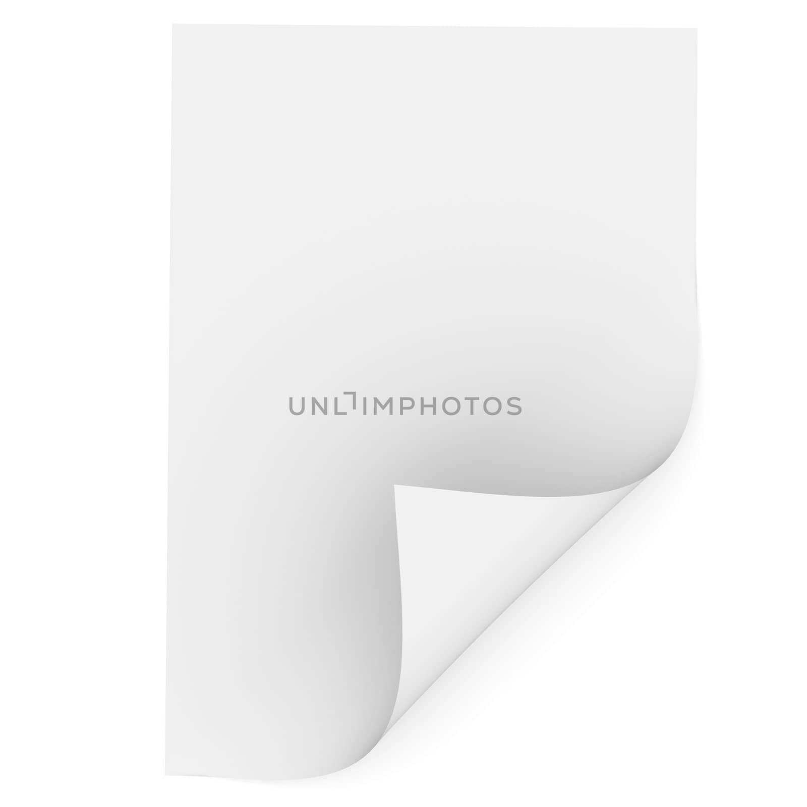 White blank paper with a bent corner. Isolated render on a white background