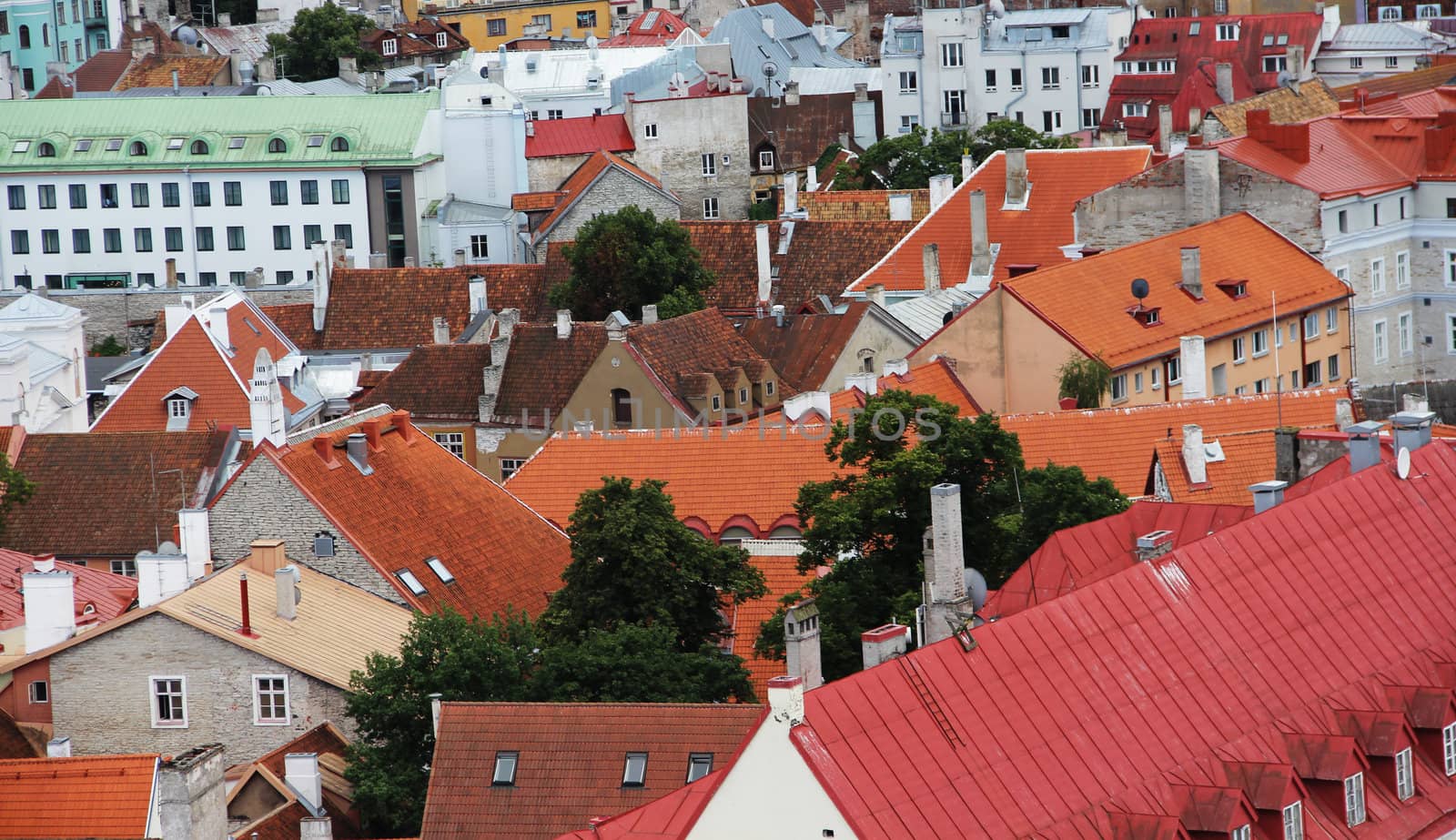 Panorama of old Tallinn roofs by destillat