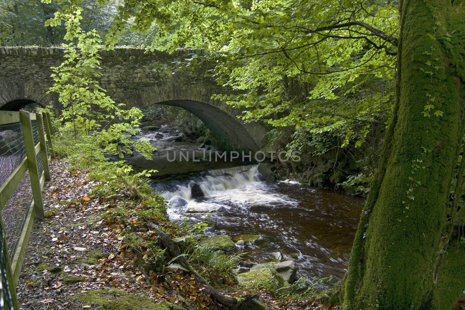 Torc waterfall in Killarney National Park