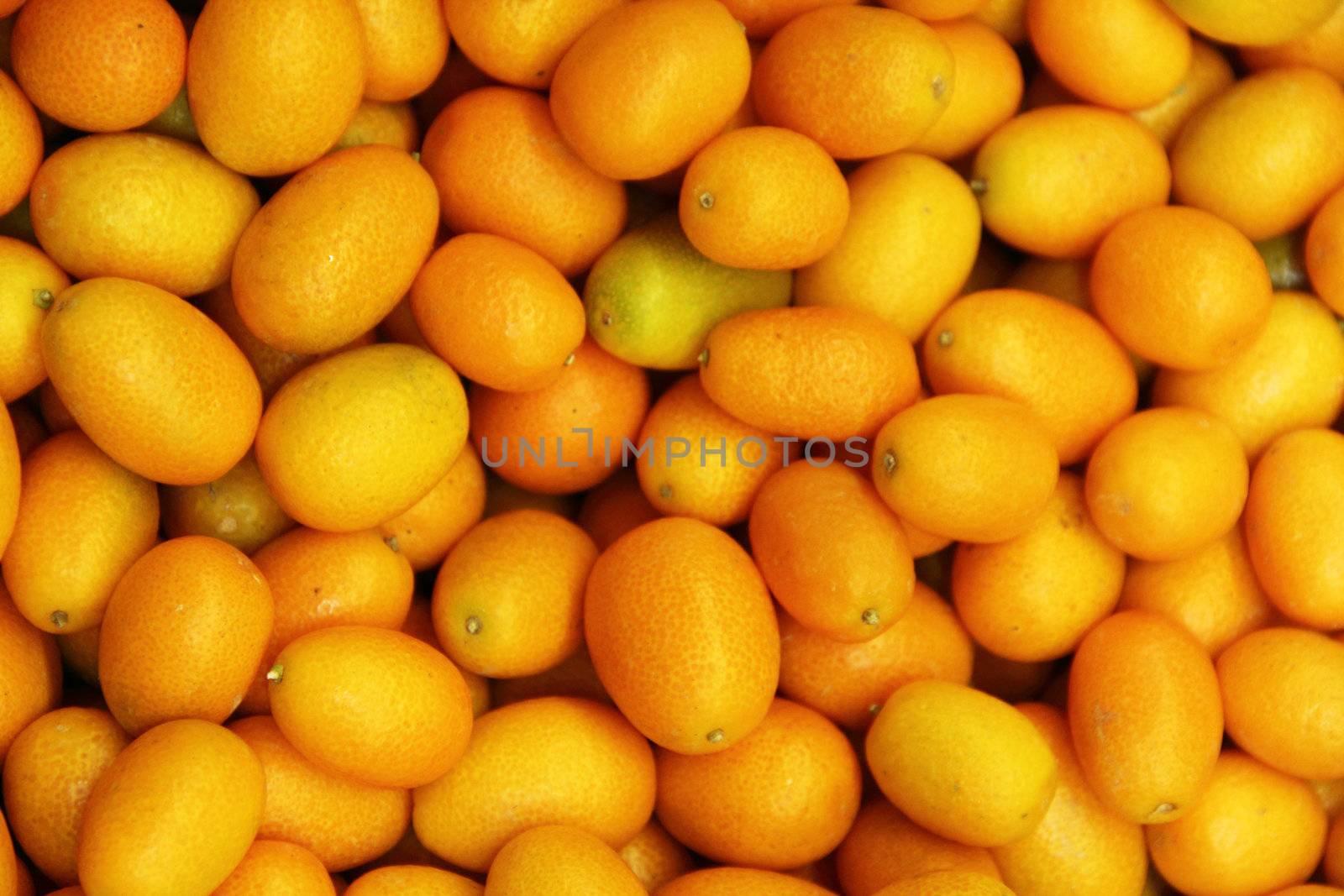kumquat background by destillat