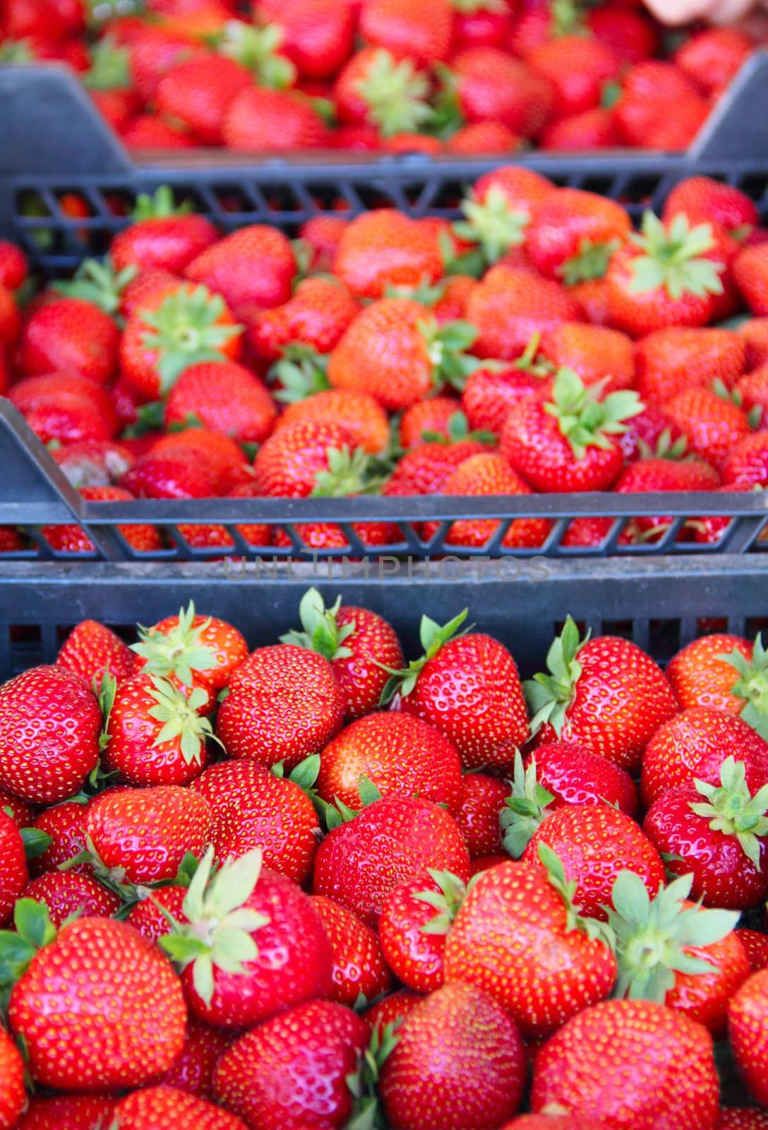 Fresh red strawberry in containters close up