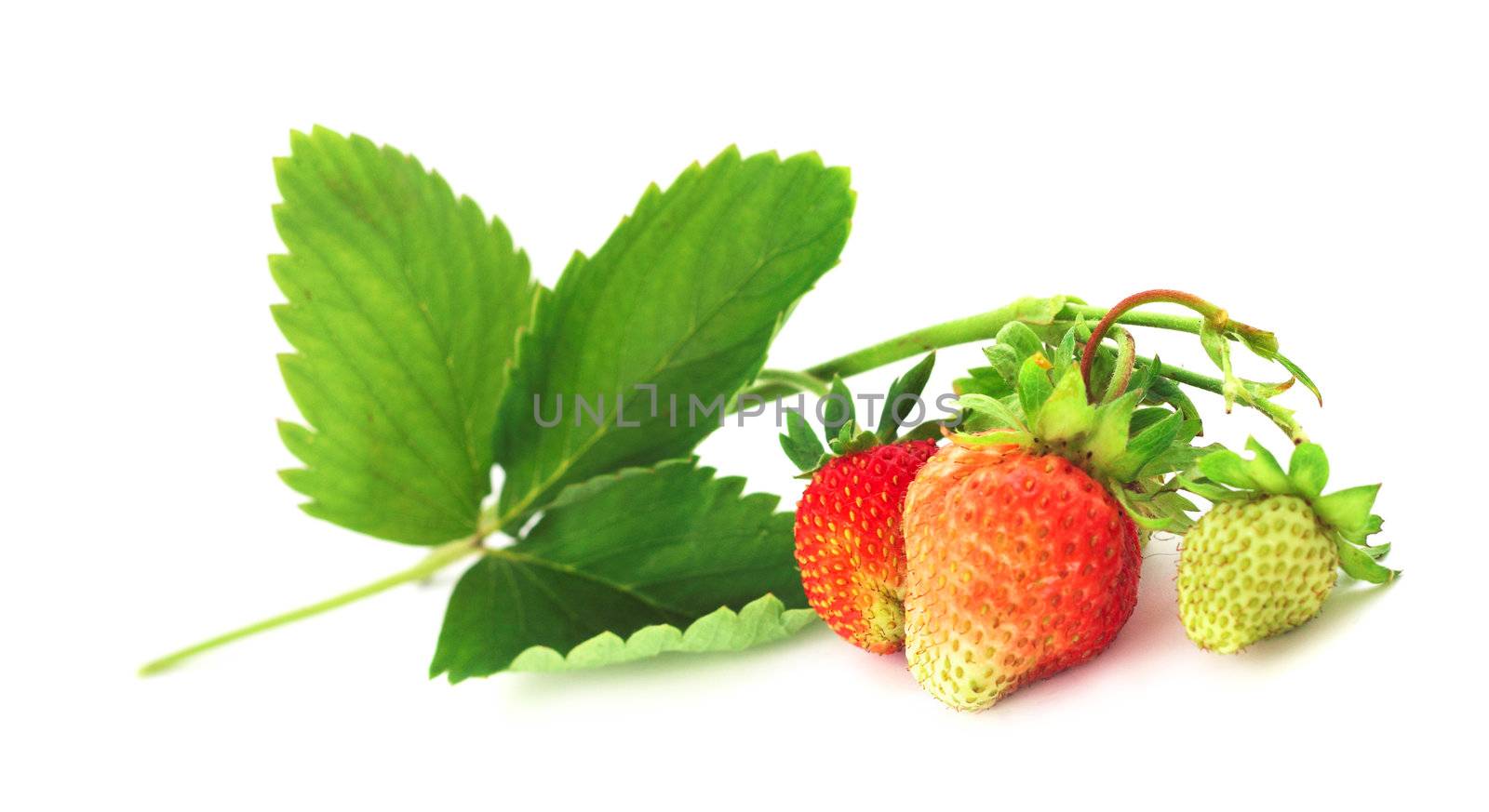 Strawberry with leaves by destillat